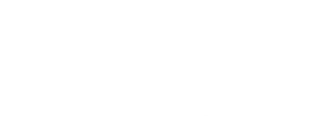 BS Gear